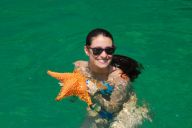 estrellas de mar, snorkeling